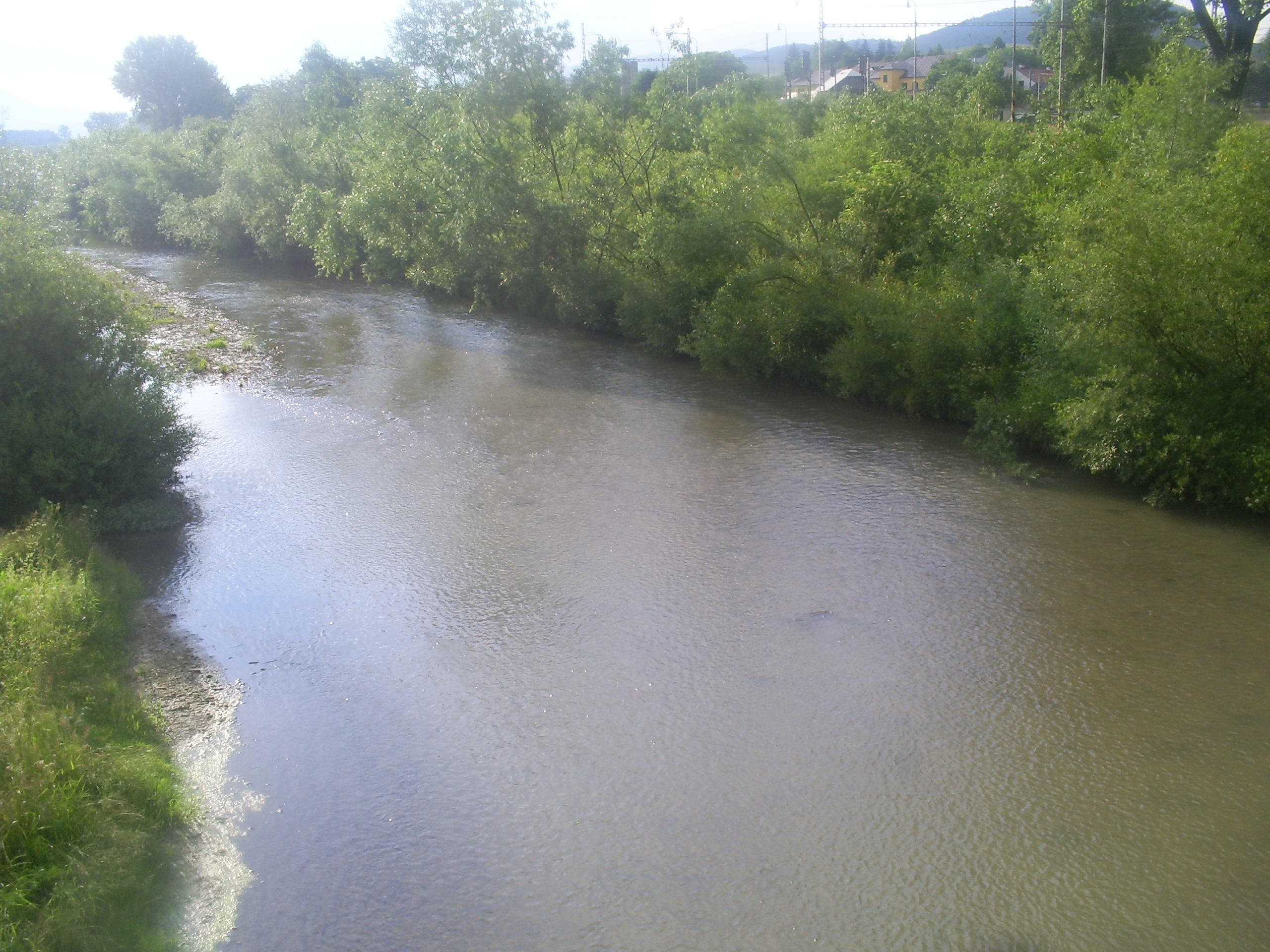 S5030070.JPG