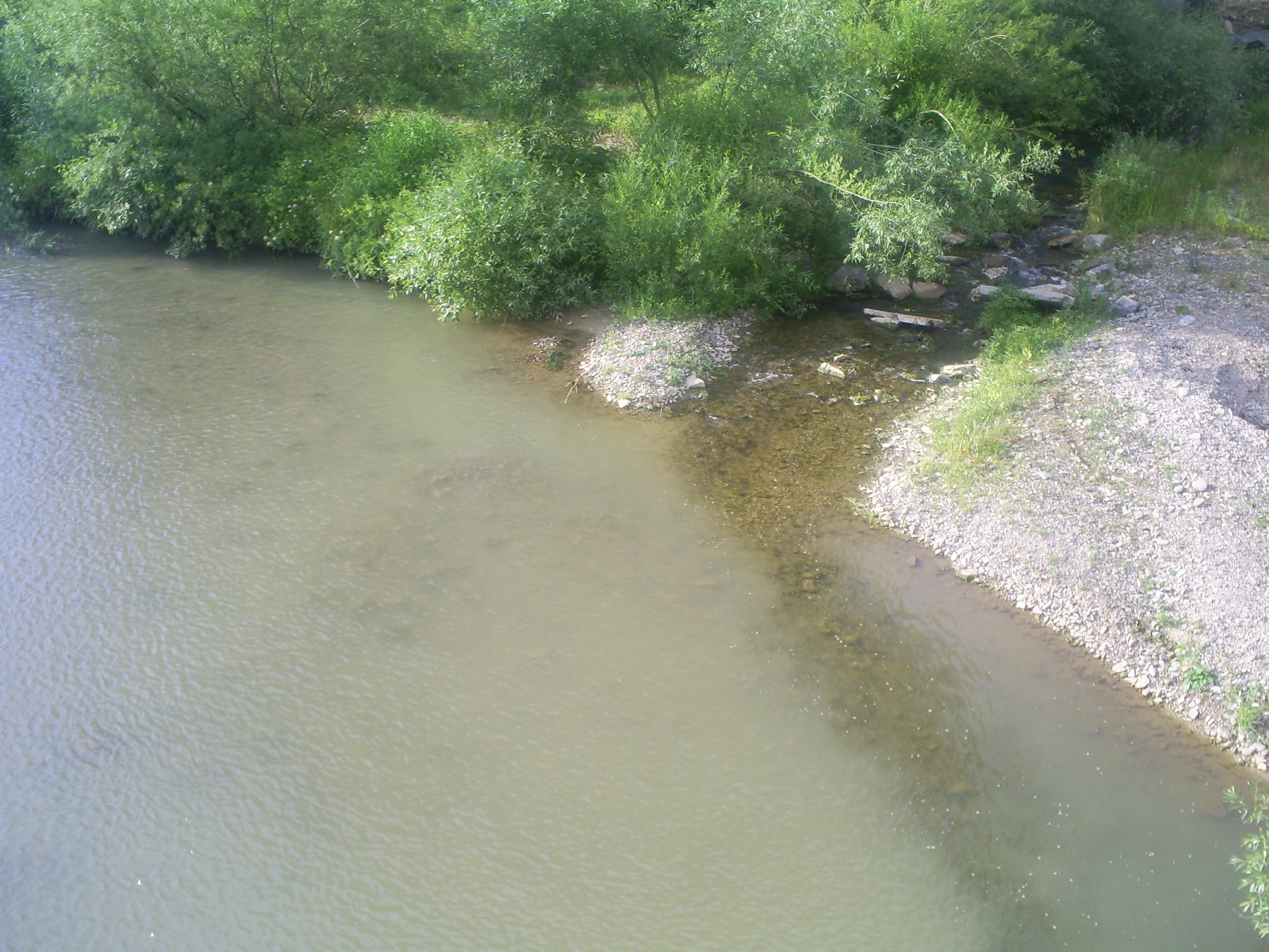 S5030071.JPG
